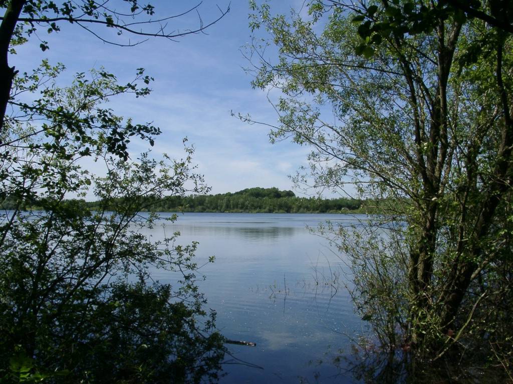 Silbersee im Erholungspark Volkardey in Ratingen